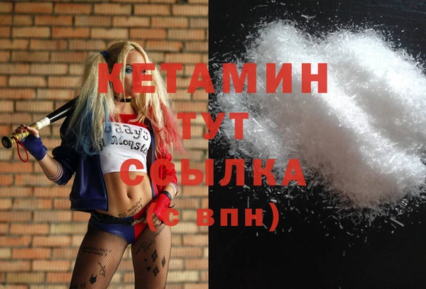 прущий лед Каменка