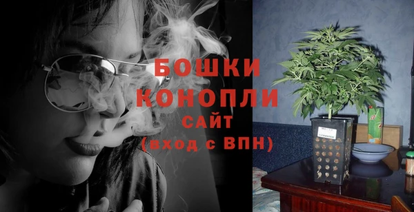 прущий лед Каменка