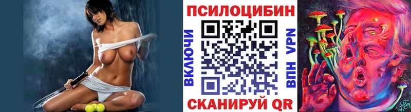 Псилоцибиновые грибы GOLDEN TEACHER Куйбышев